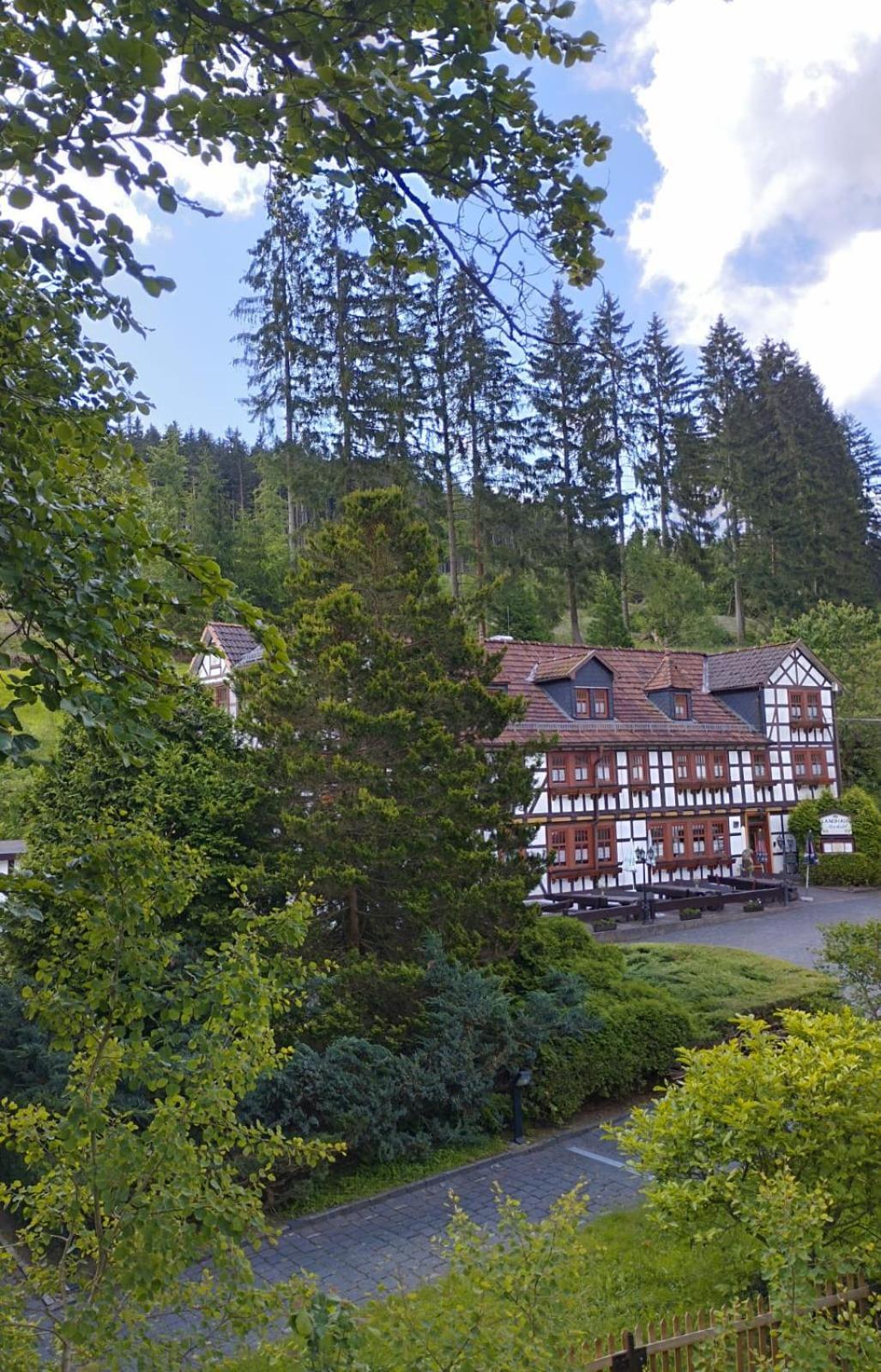 Pension Landhaus Machold Friedrichroda Zewnętrze zdjęcie