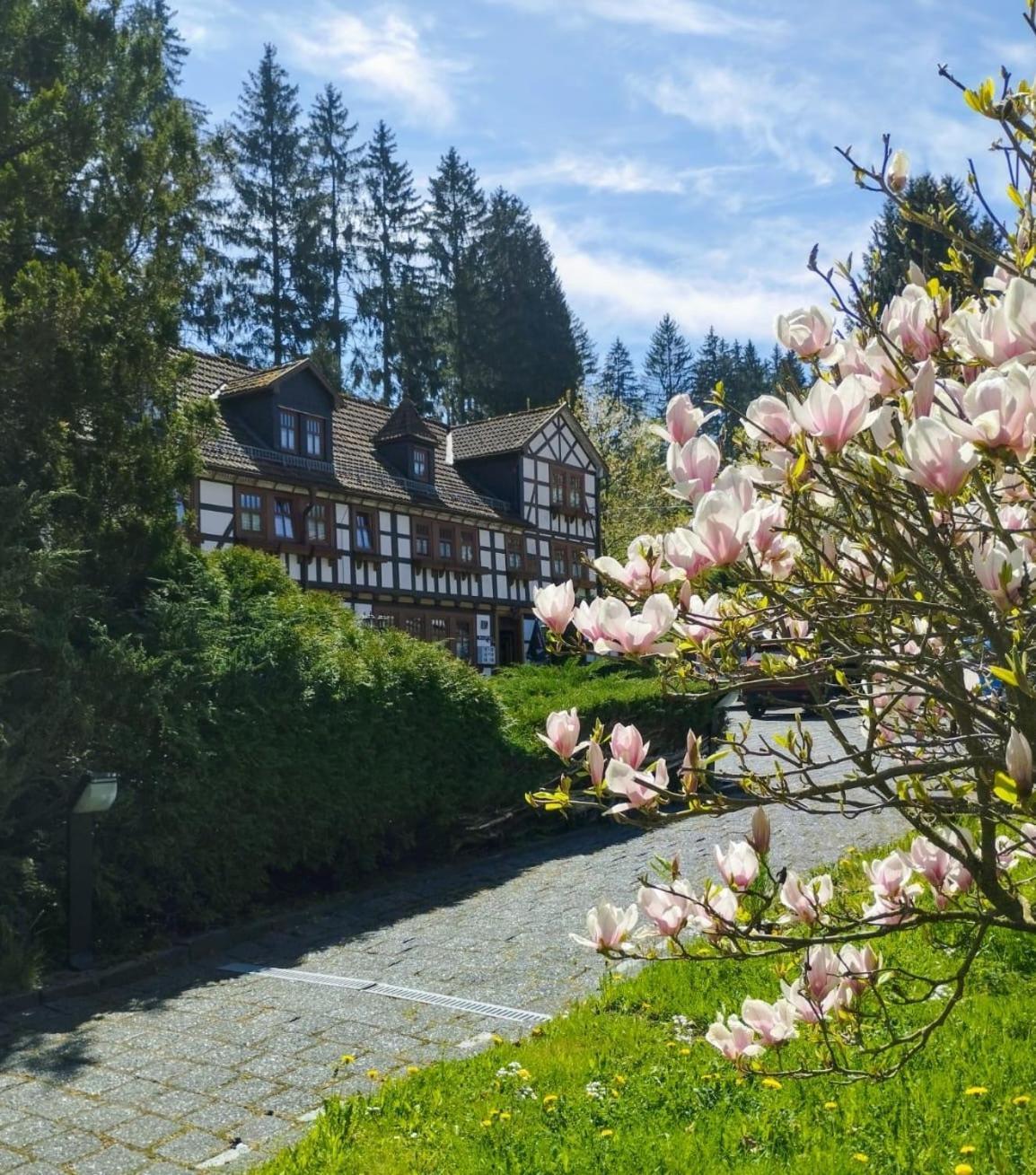 Pension Landhaus Machold Friedrichroda Zewnętrze zdjęcie