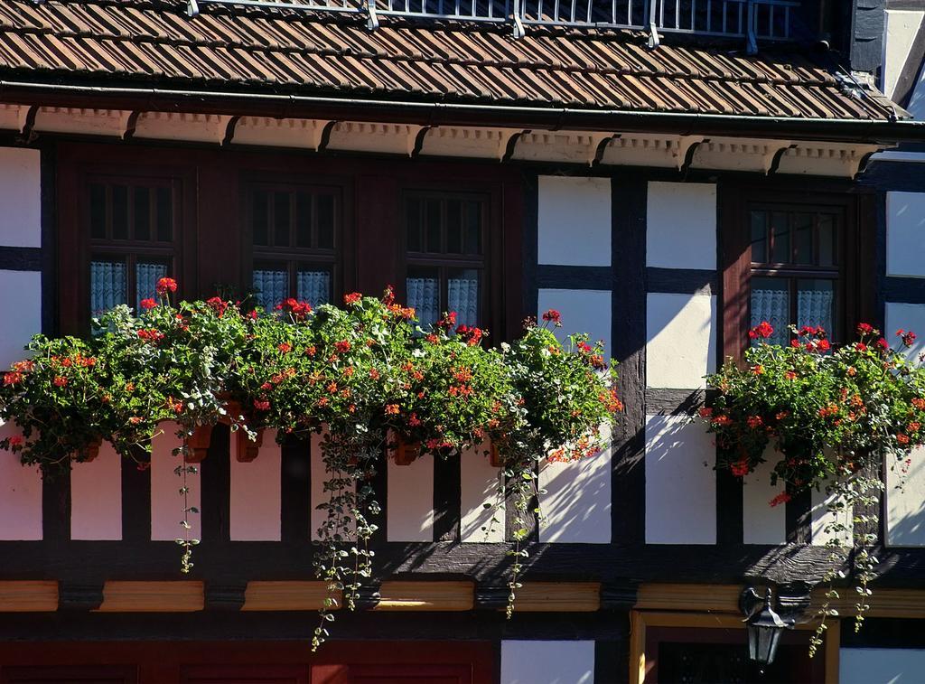 Pension Landhaus Machold Friedrichroda Zewnętrze zdjęcie
